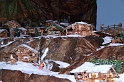 presepe_163