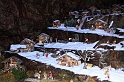 presepe_241